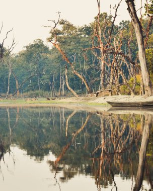 Chitwan Ulusal Parkı 'nda hayvanlar serbestçe dolaşırken Chitwan Ulusal Parkı' nda 4K zaman dilimini yakınlaştırın. Nepal 'deki ünlü safari merkezi. Asya 'da vahşi turlar ve vahşi yaşam kavramları