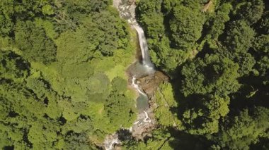 Ninoskhevi Şelalesi 'nin havadan görünüşü yemyeşil ormandan geçerek Lagodekhi Korunaklı Bölgeler, Georgia' daki kayalık bir havuza dönüşüyor.