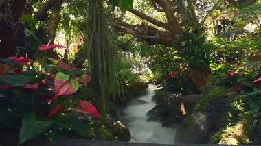 Kuzey Tayland 'da sis, canlı çiçekler ve yemyeşil orman bitkileriyle çevrili ünlü turistik yer olan Lalitta Cafe' de büyüleyici bir fantezi bahçesi yolu. Chiang Mai seyahat yeri afişi.