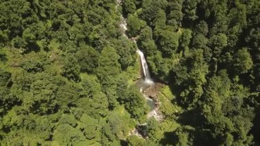 Ninoskhevi Şelalesi 'nin havadan görünüşü yemyeşil ormandan geçerek Lagodekhi Korunaklı Bölgeler, Georgia' daki kayalık bir havuza dönüşüyor.