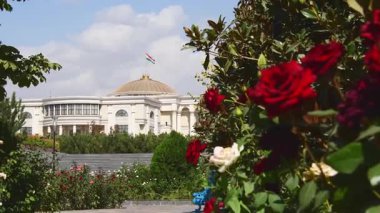 Dushanbe, Tacikistan - 25 Ekim 2023: Dushanbe Cumhurbaşkanlığı Sarayı veya gül bahçeli ülkeler sarayı. Tacikistan bayrağı sallanıyor. Hükümet, siyaset, liderlik, mimari