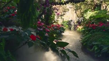 Chiang Mai, Tayland - 2023: Kuzey Tayland 'da sis, canlı çiçekler ve yemyeşil orman bitkileriyle çevrili ünlü turizm merkezi Lalitta Cafe' de büyüleyici bir fantezi bahçesi yolu