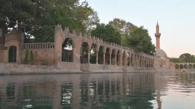 Şanlıurfa Türkiye 'deki İbrahim Balklgl' in kutsal havuzu, tarihi İslam hac yeri, gün batımında huzur dolu yansımaları olan dini miras.