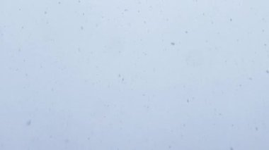 Georgia 'daki Kafkasya Dağları' nda kar fırtınası sırasında dikey şiddetli kar yağışı yakın çekim. Pudra taneleri çerçeveyi doldurur tam ekran izole kış arkaplanı oluşturur.