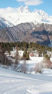 Kayak grupları kış sporları sırasında mavi gökyüzünün altında arka planda ormanla birlikte karlı dağ yamacında kayak yapıyorlar. Svaneti Kafkas Dağları. Georgia kış tatili