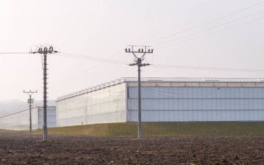 Çek Cumhuriyeti, Çek Cumhuriyeti 'nde büyük domates bakımı ve sera inşa ediliyor.