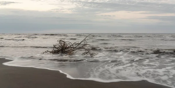 Ένα Παλιό Εμπόδιο Ξεπλένεται Από Κύματα Στην Ακτή Φωτογραφία Αρχείου