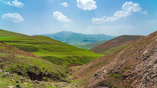Krajobraz Górski Pokryty Zieloną Trawą — Zdjęcie stockowe
