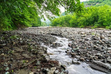 Kaya ve çakıl taşlarıyla bir dağ nehrinin yatağı