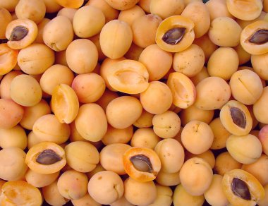 Kayısılar arkaplan üstü görünümü