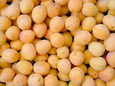 Kayısılar arkaplan üstü görünümü