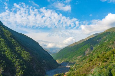 Yoğun yeşil ormanlarla kaplı dağların arasındaki vadi.