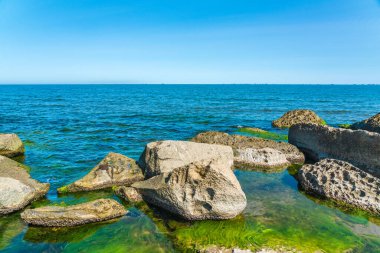 Yeşil yosunlarla kaplı Rocky deniz kıyısı.