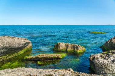 Yeşil yosunlarla kaplı Rocky deniz kıyısı.