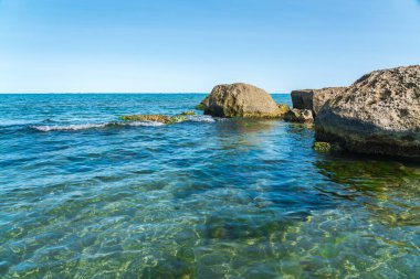 Yeşil yosunlarla kaplı Rocky deniz kıyısı.