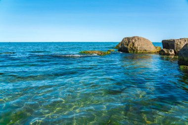 Yeşil yosunlarla kaplı Rocky deniz kıyısı.