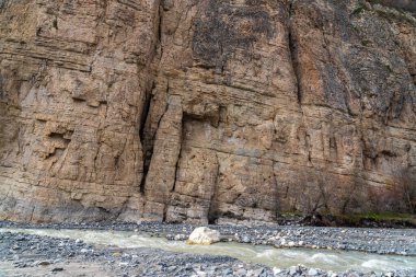 Dağ nehri büyük kayanın yanında akıyor.