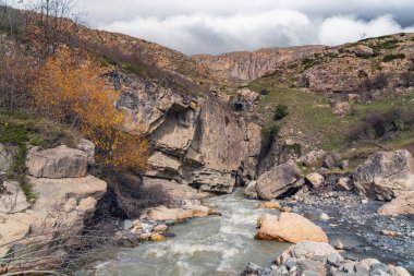 Dağ nehri büyük kayanın yanında akıyor.