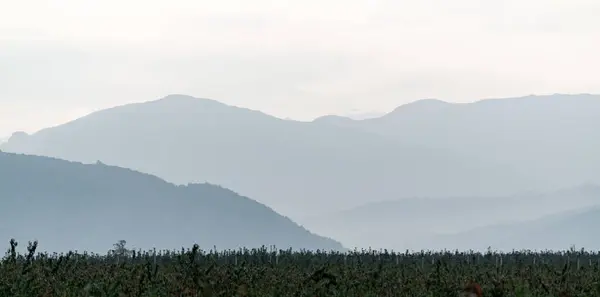 Wide panorama of mountain silhouettes and plowed farm field