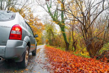 Hyundai Tucson SUV ıslak asfalt yolun kenarına park etmiş. Sarı sonbahar ağaçları arasında.