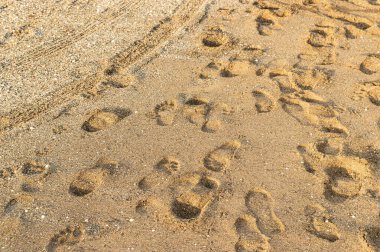 Kumda insan ayak izleri.