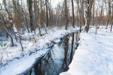 Karlı bir ormanda küçük bir nehir.