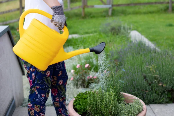 stock image A young woman in a white T-shir holding yellow watering can and watering plants