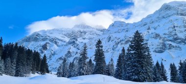 İsviçre Alplerinde kış mevsimi. Panoramik manzara. Dağlarda karlı kış manzaraları Köknar ağaçları ve ahşap çitlerle. 