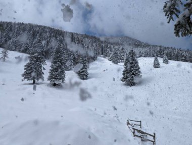 İsviçre Alplerinde kış mevsimi. Panoramik manzara. Dağlarda karlı kış manzaraları Köknar ağaçları ve ahşap çitlerle. 