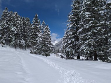 İsviçre Alplerinde kış mevsimi. Panoramik manzara. Dağlarda karlı kış manzaraları Köknar ağaçları ve ahşap çitlerle. 