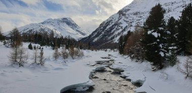 İsviçre Alplerinde kış mevsimi. Panoramik manzara. Dağlarda karlı kış manzaraları Köknar ağaçları ve ahşap çitlerle. 