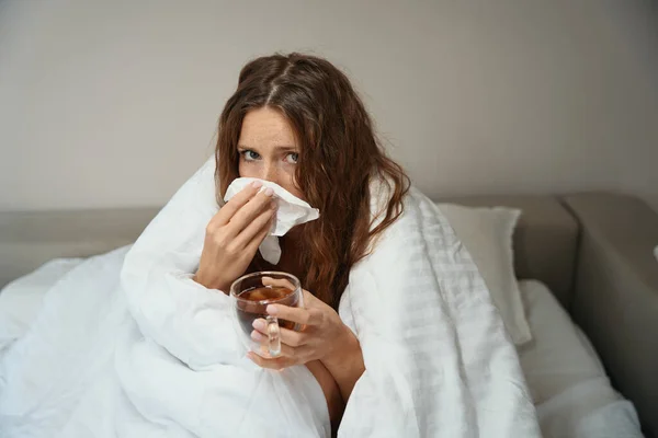 病気の女性座っていますベッドに包まれた毛布の中彼女持っていますカップの熱いお茶手 — ストック写真