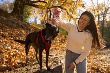 Neşeli genç bir kadın üzgün bir köpekle oynuyor, parktalar.