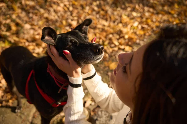 Kind Young Woman Hugs Black Dog Walk Autumn Park — Stock Photo, Image