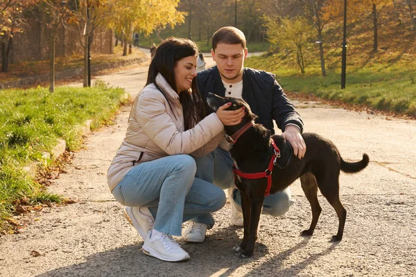 Fröhliches Paar Mit Hund Zum Spaziergang Herbstlichen Park Rund Die — Stockfoto