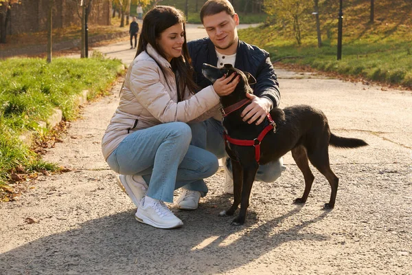 Junges Paar Geht Mit Hund Park Spazieren Sie Sind Lässig — Stockfoto