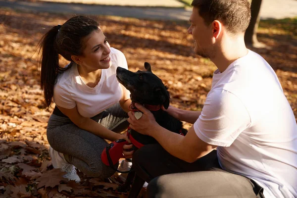 快乐的女人和她的男朋友蹲在地上爱抚一只黑狗 他们穿着舒适的运动服 — 图库照片