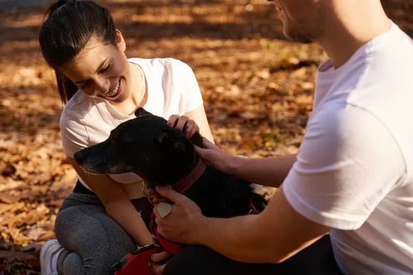 Fröhliche Frau Und Ihr Freund Spielen Mit Ihrem Hund Park — Stockfoto