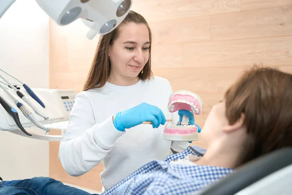 Higienista Mujer Sostiene Modelo Dentición Con Frenos Las Manos Usa —  Fotos de Stock