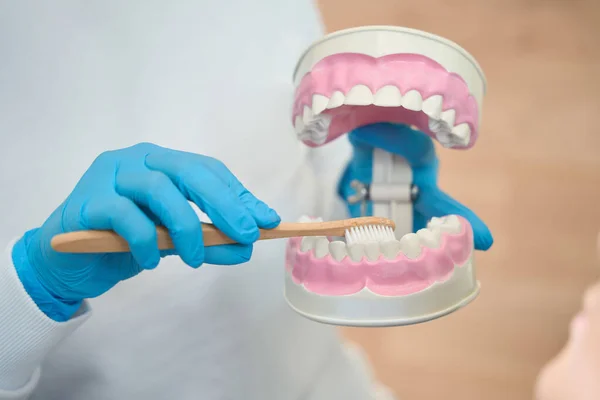 stock image Doctor hygienist holds a model of the dentition with braces in his hands, effective education of patients in oral hygiene