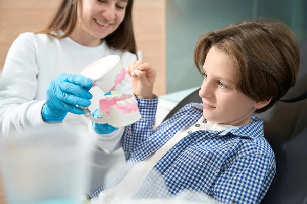 Женщина Дантист Демонстрирует Модель Зубного Протеза Молодому Пациенту Учит Правильно — стоковое фото