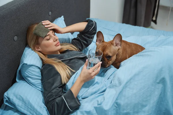 Ill Female Compress Forehead Lying Bed Her Pet — Stock Photo, Image