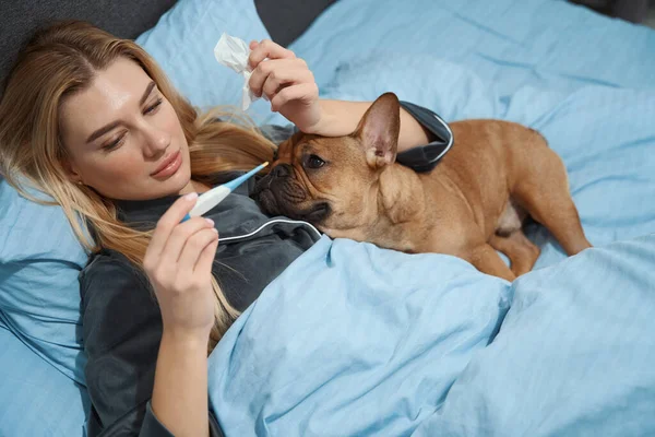 Sick female lying in bed and looking at digital thermometer display in presence of her pet