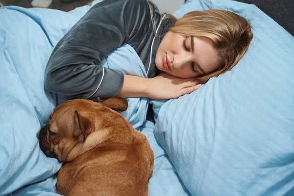Calm lady wrapped in blanket sleeping in comfortable bed with French bulldog
