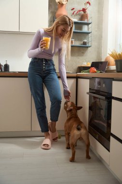 Smiling young woman with glass of orange juice in hand stroking her French Bulldog