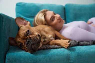 Gülümseyen mutlu köpek efendisi ve sakin Fransız bulldog 'u kanepede yan yana yatıyor.