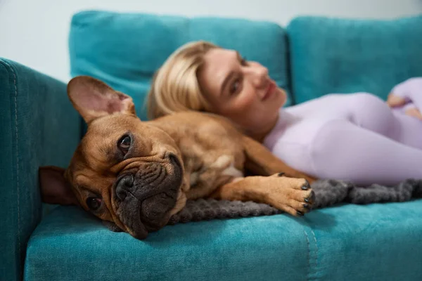 Smiling Contented Dog Master Calm French Bulldog Lying Together Sofa — Stok fotoğraf