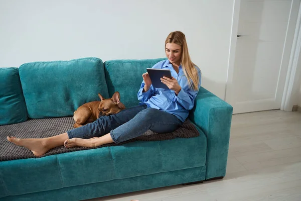 Calm Concentrated Female Sitting Sofa Her French Bulldog Tablet — Zdjęcie stockowe