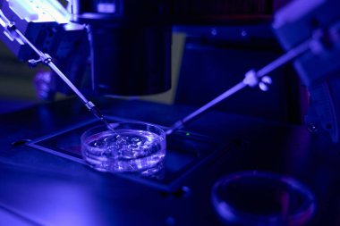 Okosit, intrakytoplazmik sperm enjeksiyonu ICSI prosedürüne enjekte etmek için spermatozoa yakalayan yakın görüş mikro manipülatörü.