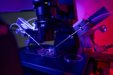 Üreme laboratuvarında mikro manipülatörlerin yardımıyla döllenen hücreler, iksi intracytoplasmik sperm enjeksiyonu için çalışma istasyonuna bakın